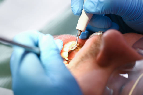 Best Emergency X-Rays and Diagnostics in Union City, OK